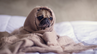 Sleep-Deprived People May Infect You With Loneliness<em></em>